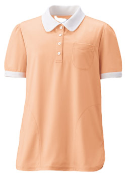 アプリコット(4)