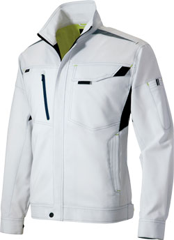 シルバーグレー(003)