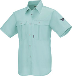 ミントグリーン(67)