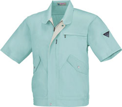 ミントグリーン(67)