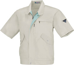 モスグリーン(61)