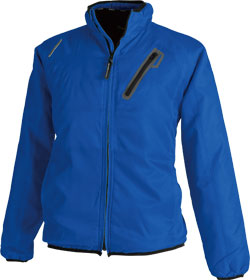 ロイヤルブルー(41)