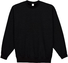 ブラック(16)