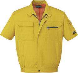 マスタード(070)