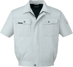 クロムシルバー(119)