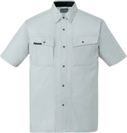 クロムシルバー(119)