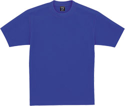 ロイヤルブルー(080)