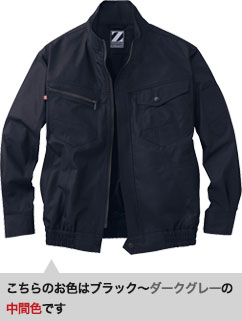 シックブラック(131)