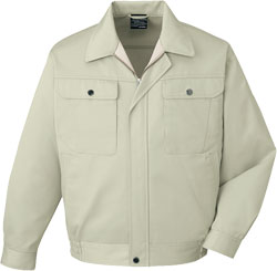 アイボリー(017)