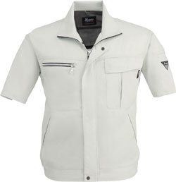 シルバーグレー(22)