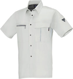 シルバーグレー(22)