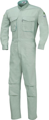 モスグリーン(61)