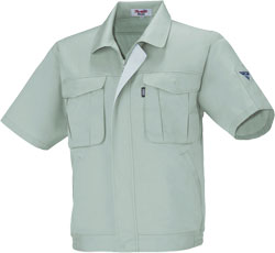 モスグリーン(61)