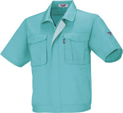 ミントグリーン(67)