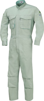 モスグリーン(61)