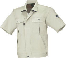 モスグリーン(61)