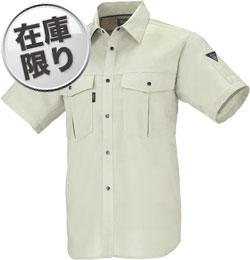 モスグリーン(61)