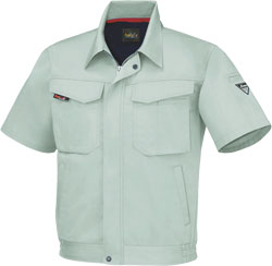 モスグリーン(61)