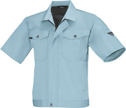 ブルーグレー(43)