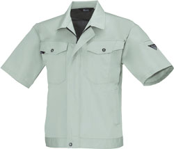 モスグリーン(61)