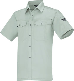 モスグリーン(61)