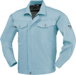 ブルーグレー(43)