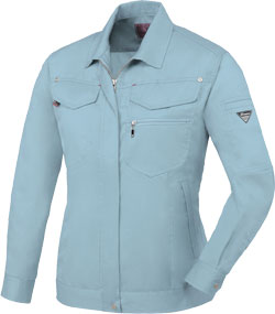 ブルーグレー(43)