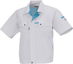 シルバーグレー(22)