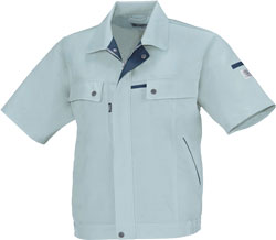 ミストグリーン(605)