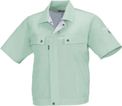 モスグリーン(61)