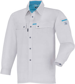 シルバーグレー(22)