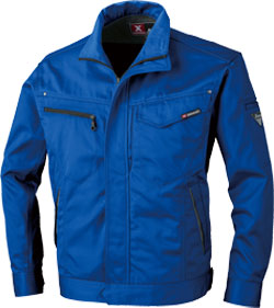 ロイヤルブルー(46)