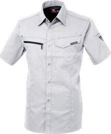 シルバーグレー(22)