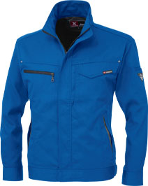 ロイヤルブルー(46)