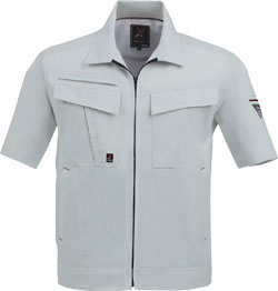 シルバーグレー(22)