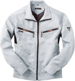 シルバーグレー(22)