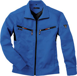 ロイヤルブルー(46)