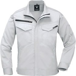 シルバーグレー(22)