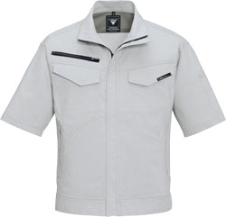 シルバーグレー(22)