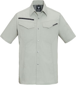 モスグリーン(61)