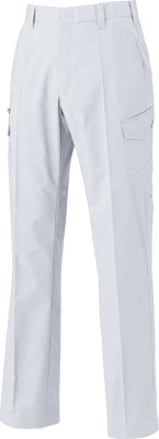 シルバーグレー(22)