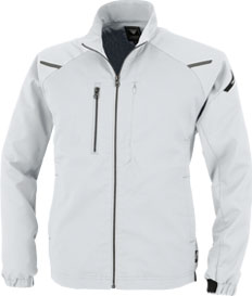 シルバーグレー(22)