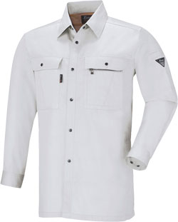 シルバーグレー(22)