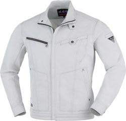 シルバーグレー(22)