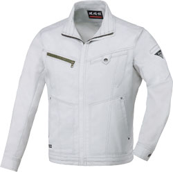 シルバーグレー(22)