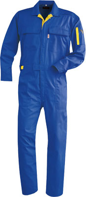 ロイヤルブルー(46)