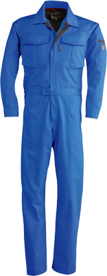 ロイヤルブルー(46)