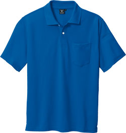 ロイヤルブルー(46)