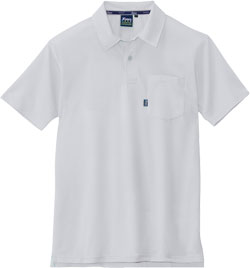 シルバーグレー(22)