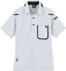 シルバーグレー(22)